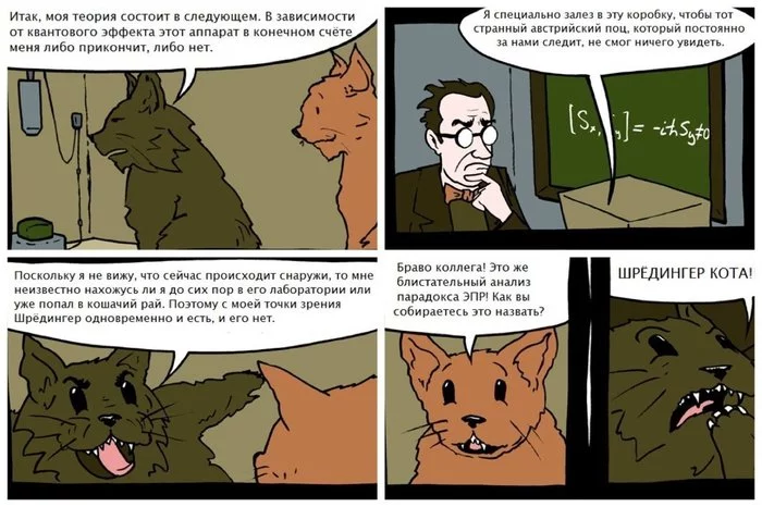 Schrodinger cat - Drawing, From the network, Shroedinger `s cat, Comics