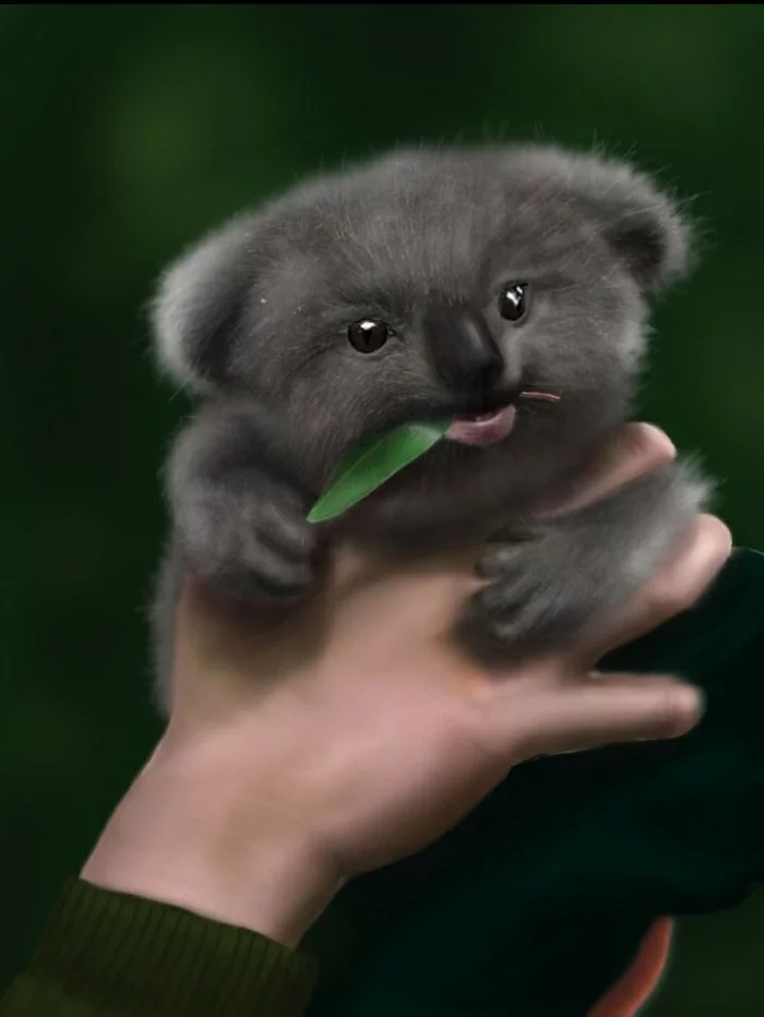 Reply to Mimimi's post - My, Koala, Young, Painting, Reply to post