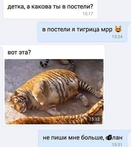 Baby, what are you like in bed? - Picture with text, Correspondence, Tiger, Bed