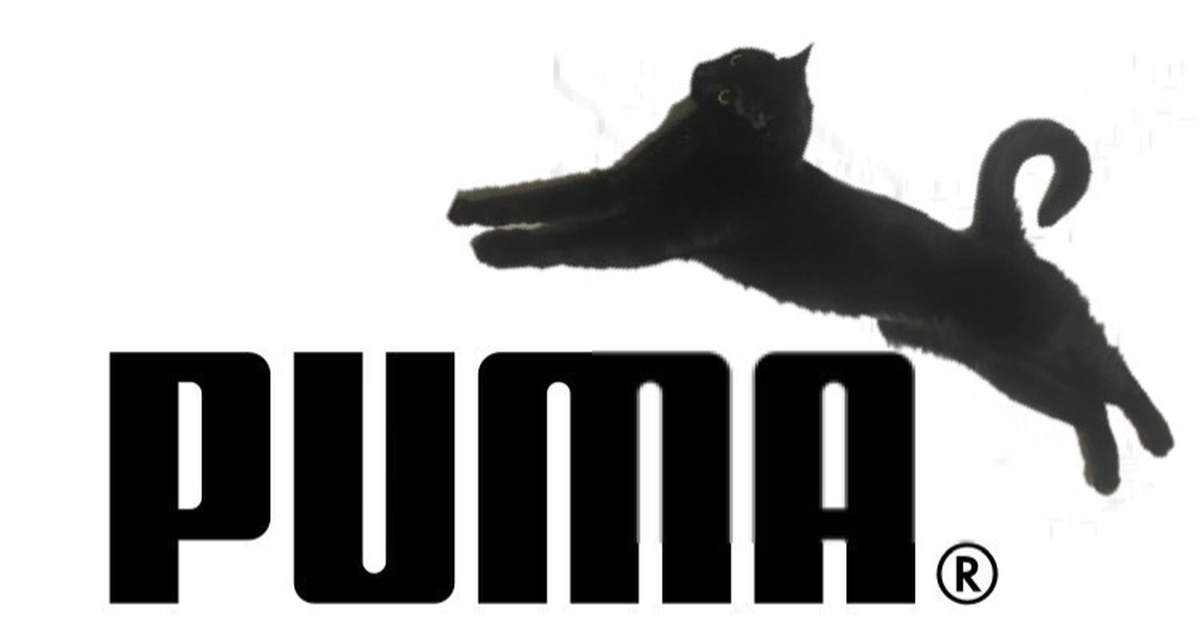 long sleeve white tight shirt