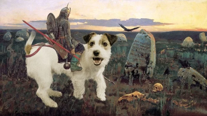 Dog Opinion: Epic about the daring Dog Meteor, and about the good fellow Master - My, Dog, Epics, Story, Animals, Pets