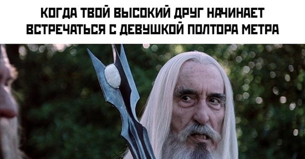 Окончательно. Любовь к полуросликам окончательно затмила твой разум. Любовь к полуросликам затмила твой разум Властелин колец. Любовь к полуросликам окончательно. Любовь к полуросликам затмила.