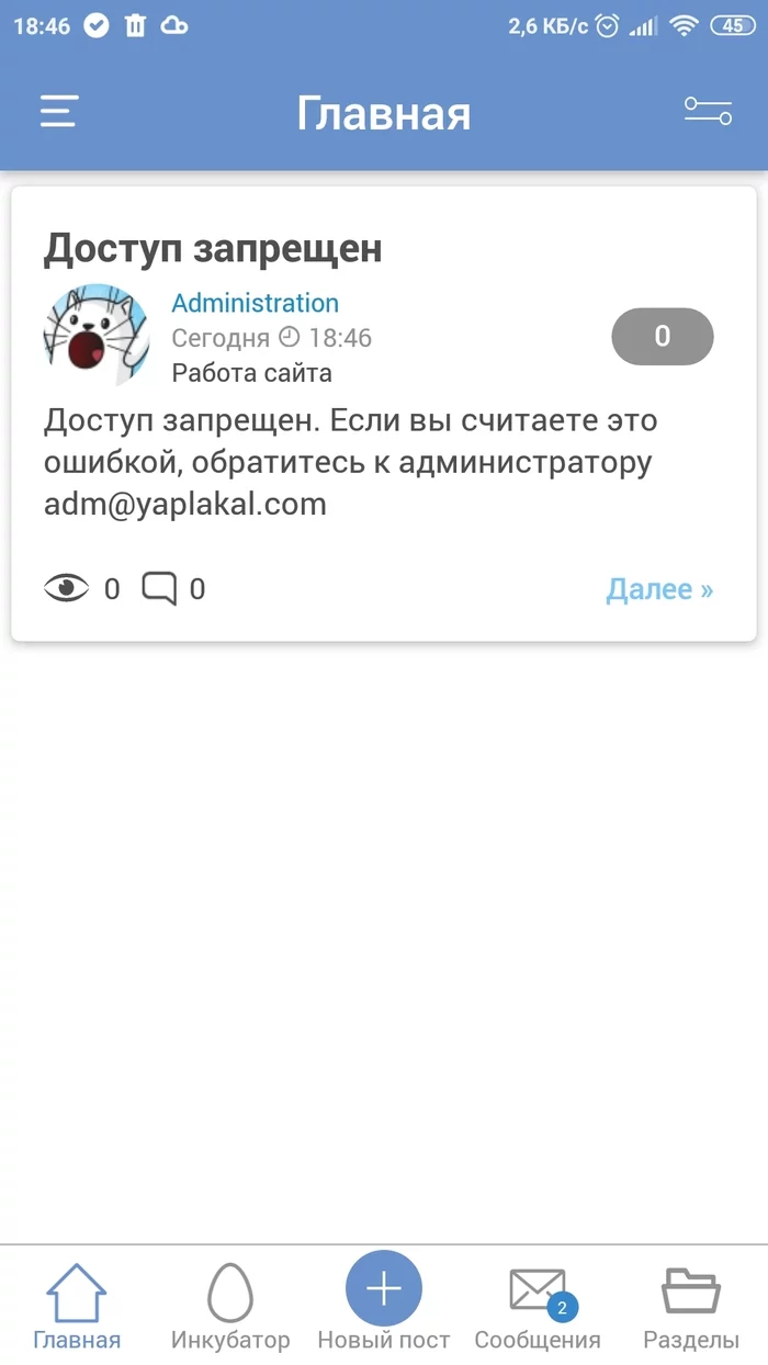 С возвращением) - Моё, Кот, Кухня, Длиннопост