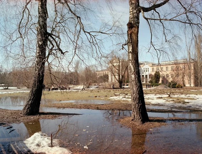 Весна прошлого года - Моё, Фотография, Пленка, Pentax 67, Средний формат, Длиннопост