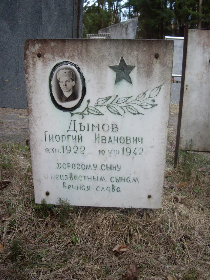 Zubtsov, cemetery - My, Tver region, Teeth, Cemetery, Longpost