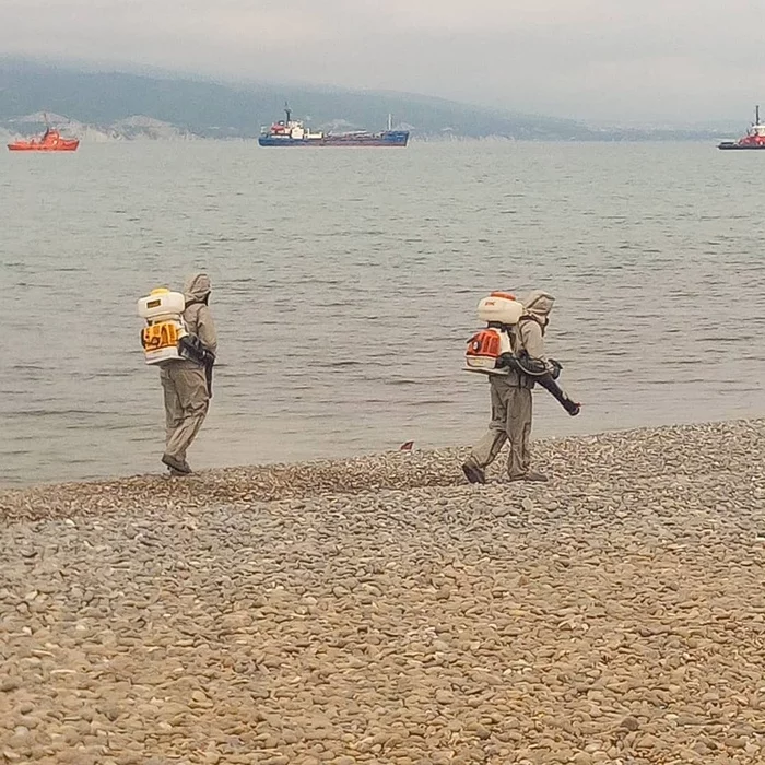 And here the sea is disinfected, but the entrances are not... - Coronavirus, Краснодарский Край, Stupidity, Novorossiysk, Disinfection