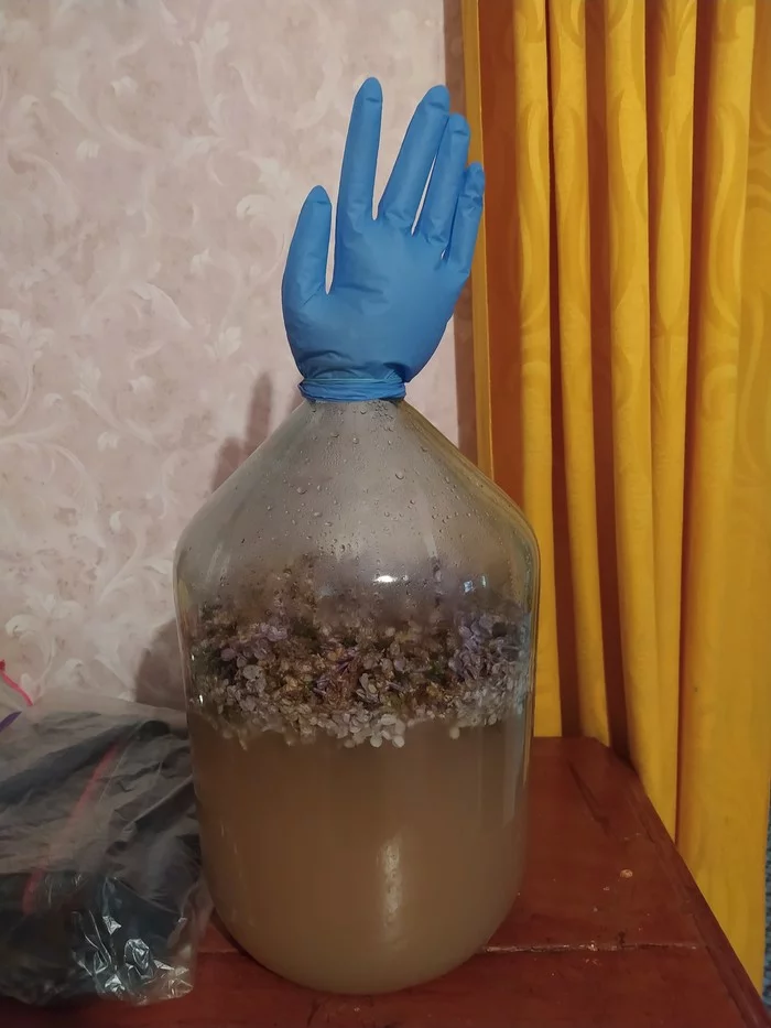 Wine with lilac flowers - My, Wine, Alcohol, Lilac, Experiment