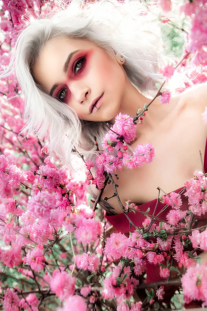 Sakura blossom - My, Portrait, Girls, Sakura, Bloom, White hair, Anime