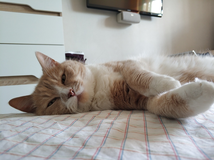 Доброе утро