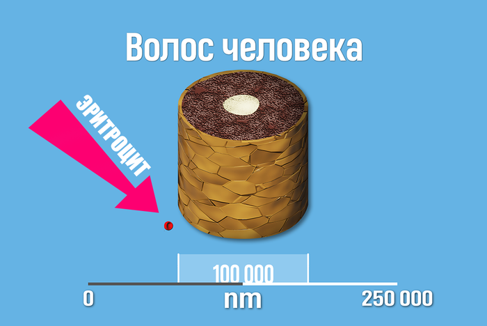 что больше молекула воды или воздуха. Смотреть фото что больше молекула воды или воздуха. Смотреть картинку что больше молекула воды или воздуха. Картинка про что больше молекула воды или воздуха. Фото что больше молекула воды или воздуха