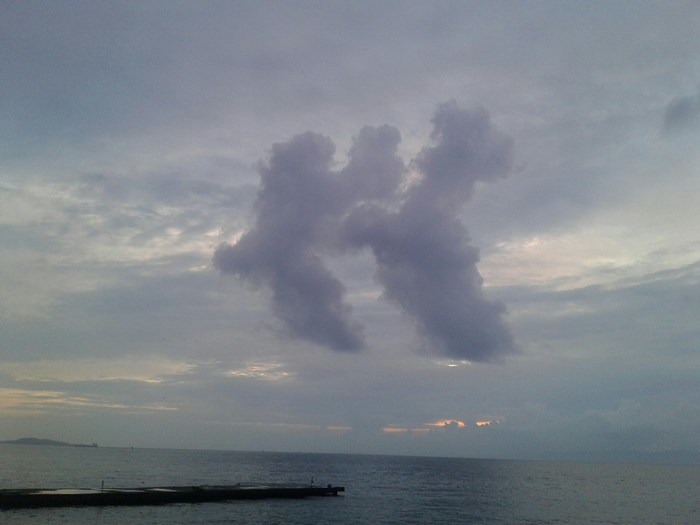 ������ ���������