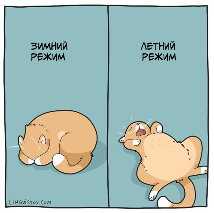   , Lingvistov, , 