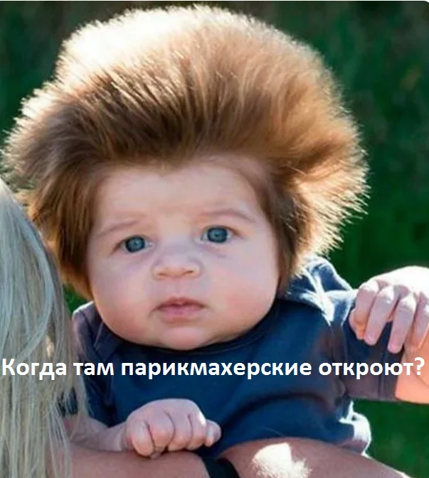 When will hairdressers open? - Children, Salon, Стрижка