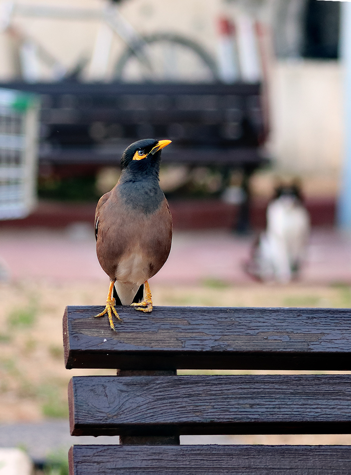 ���� �� �������