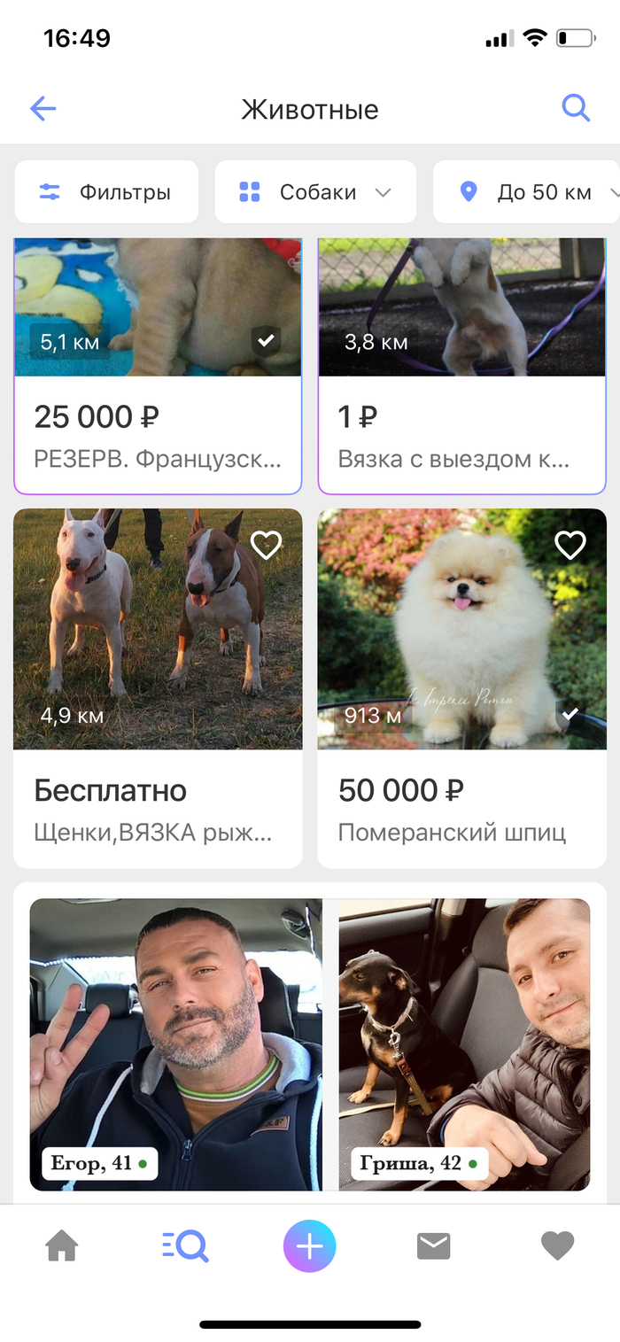 �������� ����������