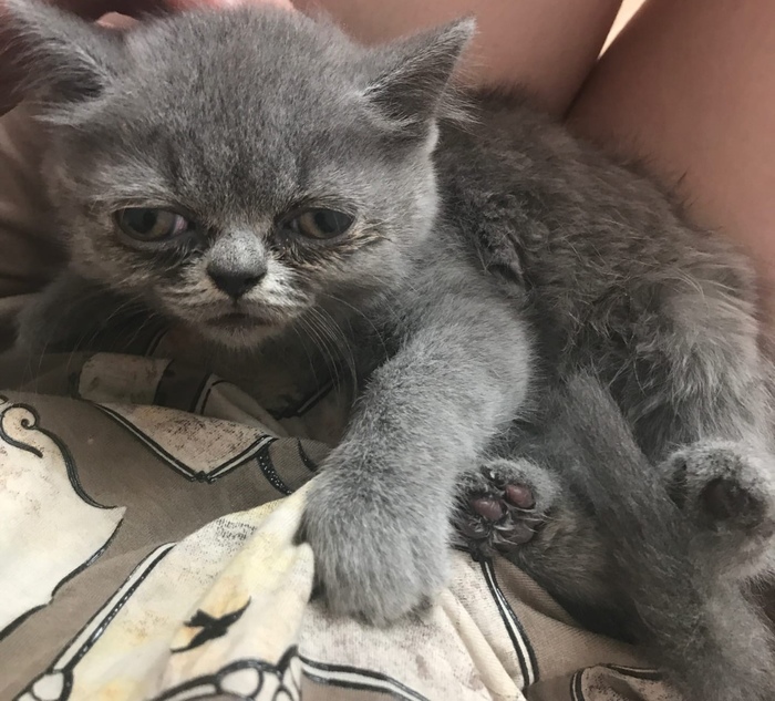 ���� ����, ����� ��������� ��� ����