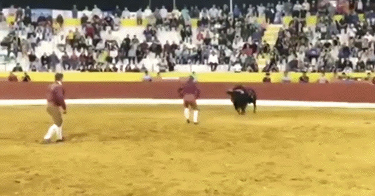 Strike! - Bullfight, Bull, Gored, GIF