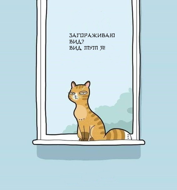 Priorities - cat, Picture with text, Drawing, Lingvistov