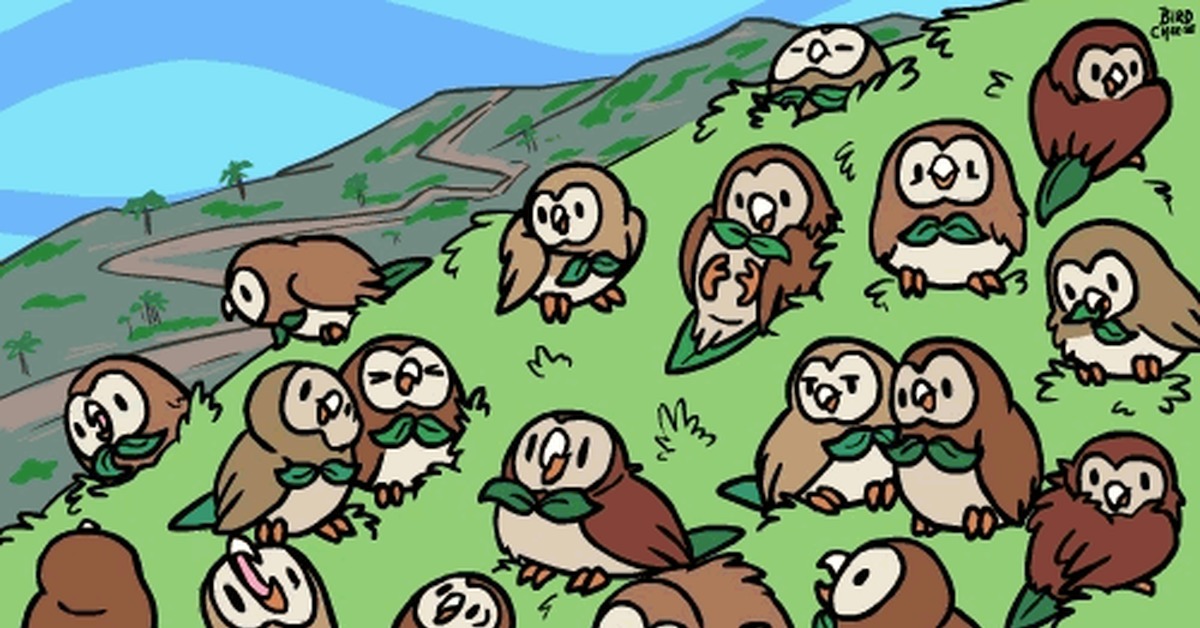 Rowlet's - Покемоны, Rowlet, Гифка