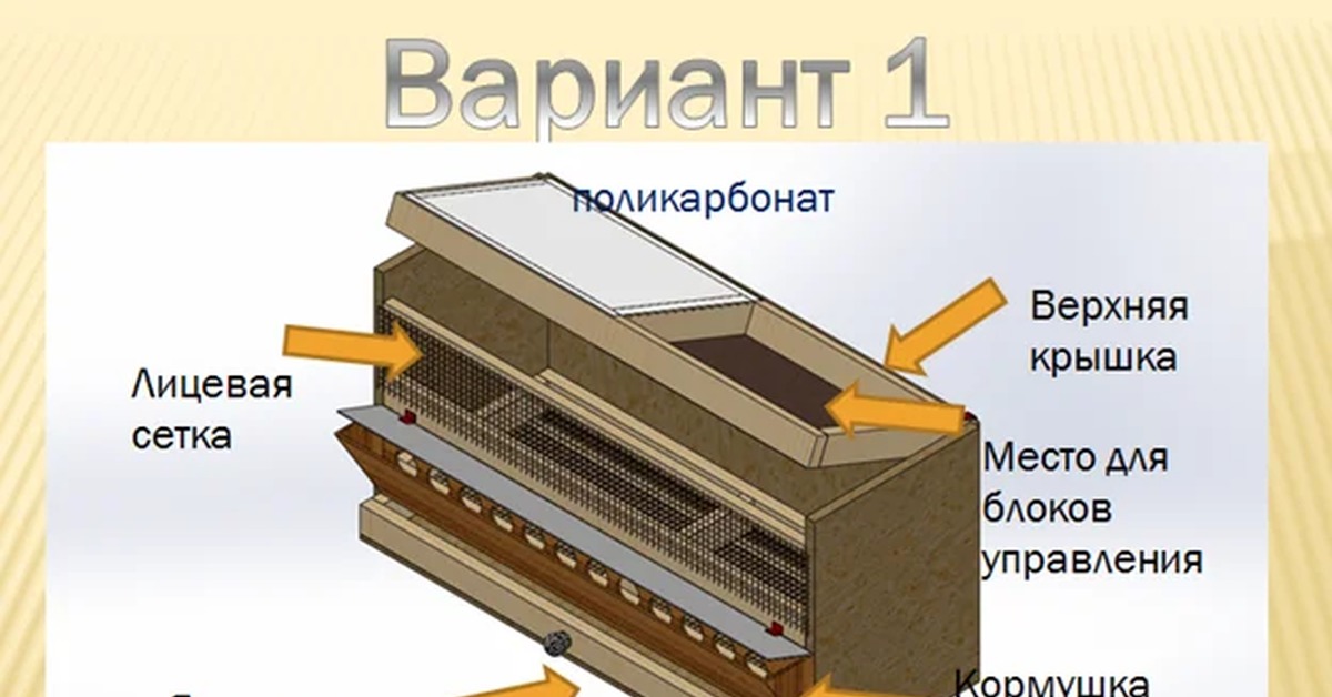 Брудер для цыплят схема