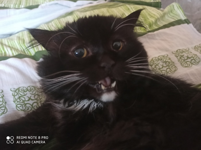 ������ ��������� �� ����!!!