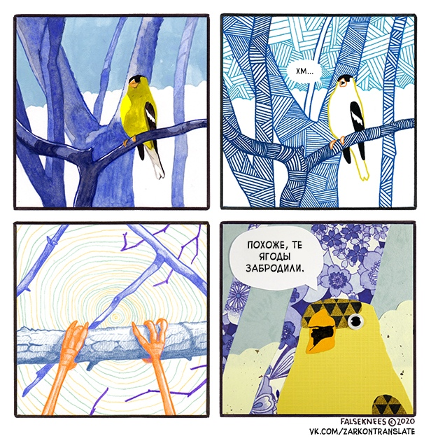 These berries had a mushroom taste - Comics, Translation, Falseknees, Birds, Translated by myself