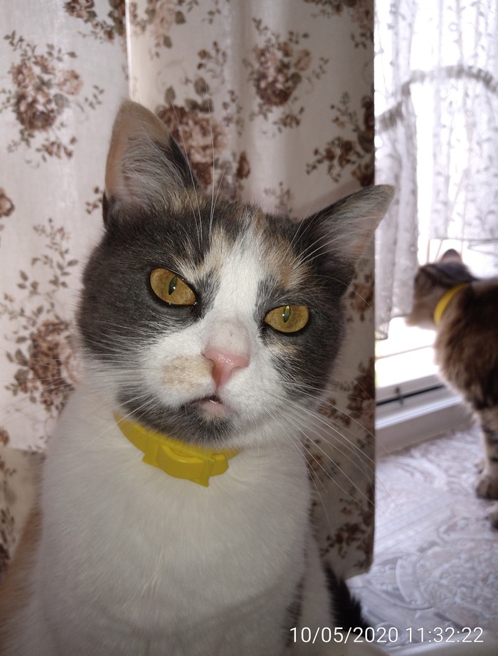 ��� ������� �����