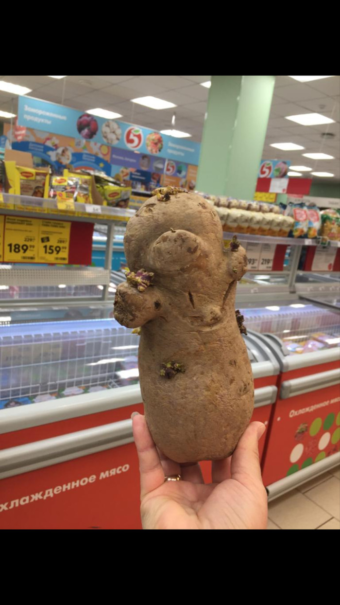 ������� �����������