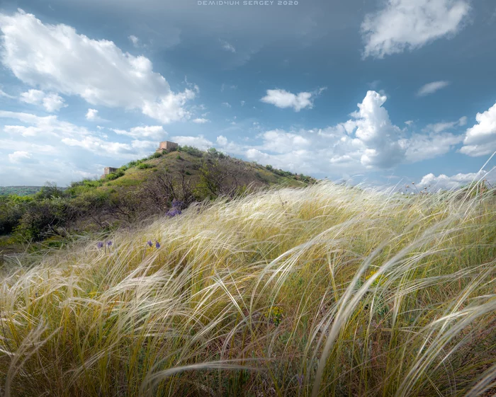 May and feather grass... Feather grass and May)) - My, The photo, Landscape, Spring, May, Feather grass, Atmosphere, Nature