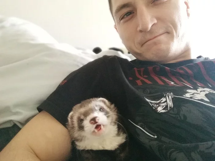 Hot yawn - My, Ferret, Pets, Milota, Yawn, Longpost