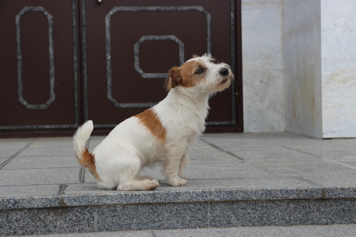 ��������� � �������������