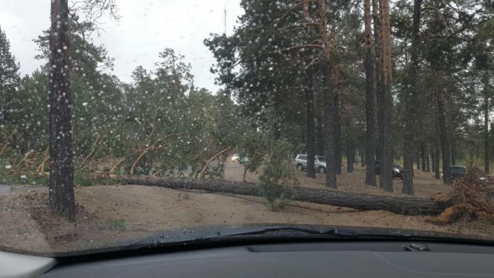 Давай 2020 добивай своим мега ураганом. Последствия - Новости, Чита, Забайкалье, Ураган, Длиннопост