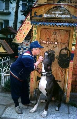 The Secret Life of the Hound of the Baskervilles. Courtyard of the Great Dane Ramses - My, Longpost, Hound of the baskervilles, Good league, Dog, Dogs and people