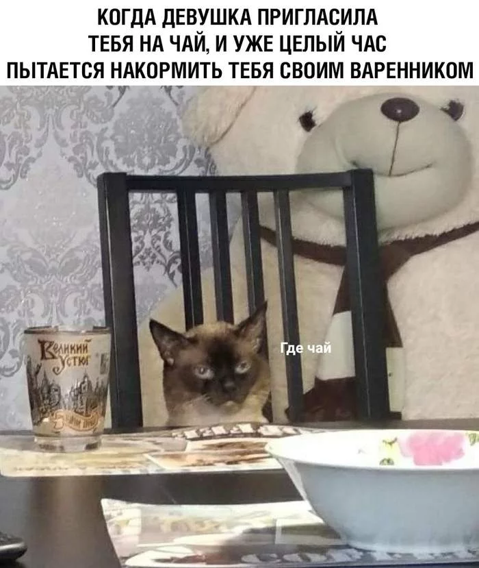 When I came for tea... - cat, Humor, Tea