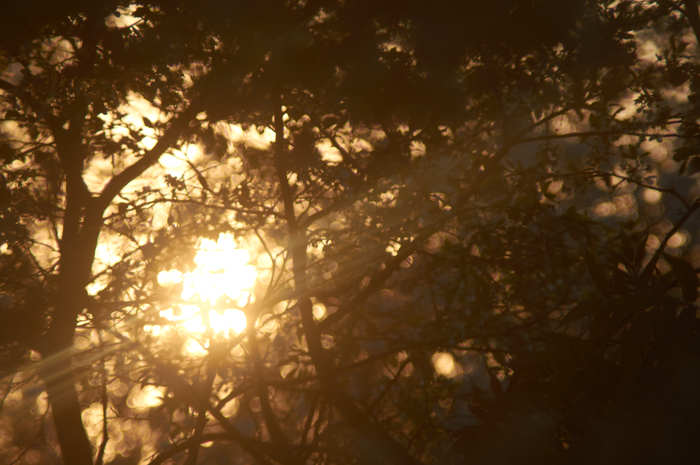 ��������� ���� � ����� ��������