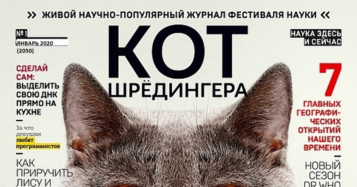 Кот шредингера презентация