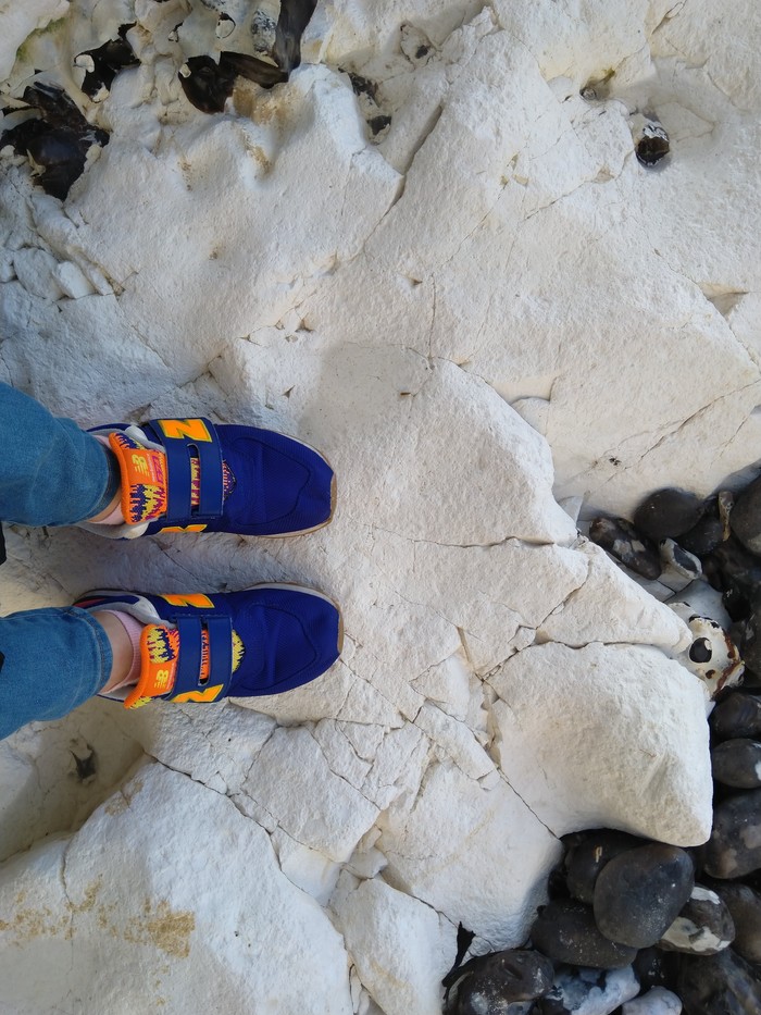 Меловые породы Кавказа Геология, Кавказ, Мел, Микроскоп, Длиннопост