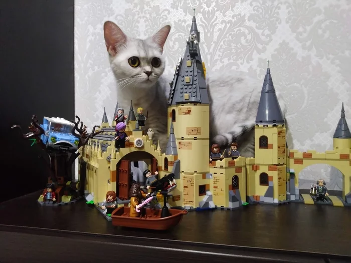 Catzilla - My, cat, Lego, Harry Potter, Hogwarts