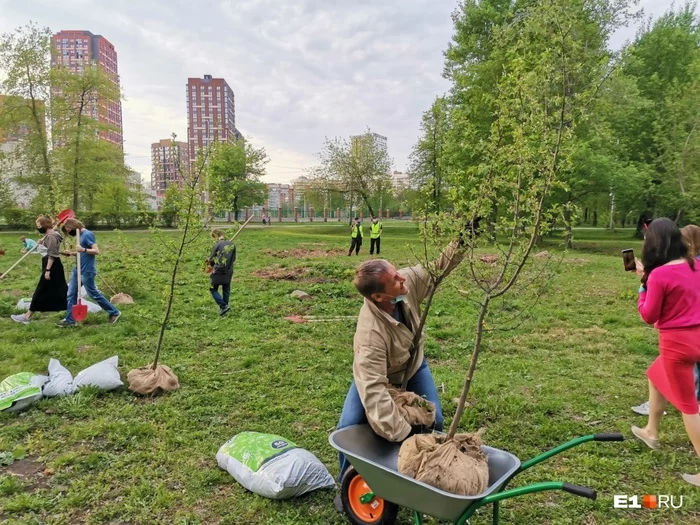 Planting a tree means you are an extremist! - Officials, Yekaterinburg, Animal defenders, Ilya Varlamov, Longpost