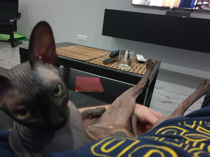   , 