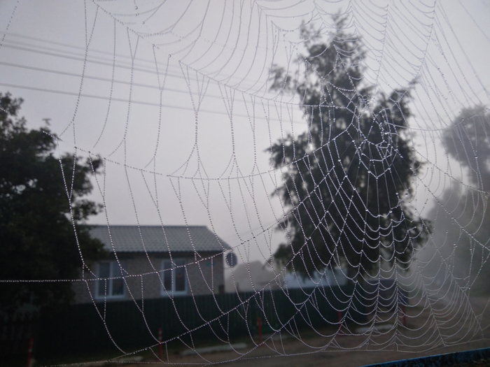 ������� �������� �������