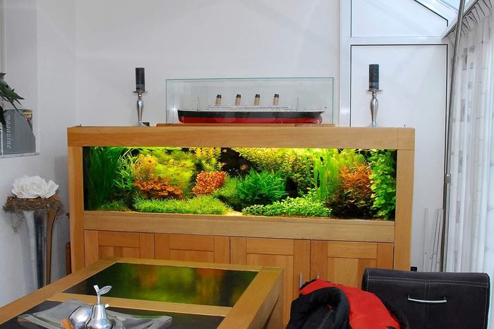 Как вам такой голландец?