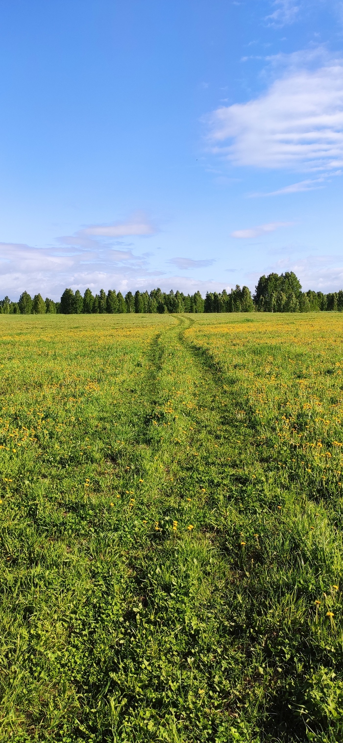 � � ������������ ��� ����