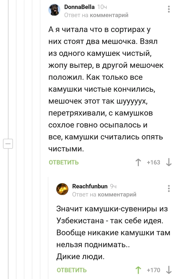 Не все сувениры одинаково полезны - Скриншот, Комментарии на Пикабу, Сувениры, Камень, Узбекистан, Туалетная бумага