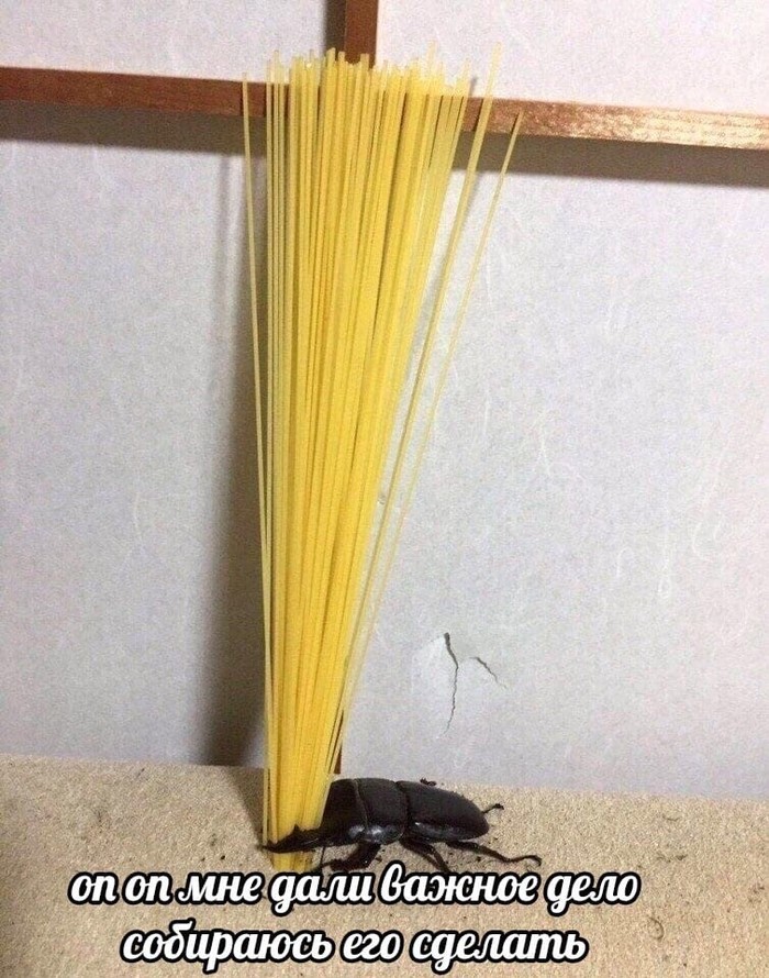    , -, , 