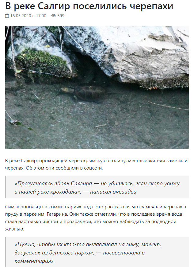 Continuation of the post “Meanwhile in Simferopol” - Quarantine, Snake, Simferopol, In contact with, Social networks, Turtle, Reply to post