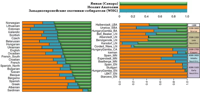 Migrations from the steppe and genetic changes in Central Europe during the transition to the Bronze Age - My, The science, Archeology, Population genetics, Yamnaya culture, Story, History of Europe, Video, Longpost, Genetics, GIF