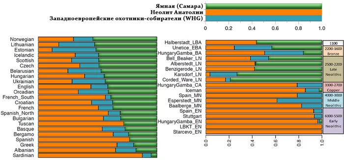 Миграции из степи и генетические изменения в Центральной Европе при переходе к бронзовому веку - Моё, Наука, Археология, Популяционная генетика, Ямная культура, История, История Европы, Видео, Длиннопост, Генетика, Гифка