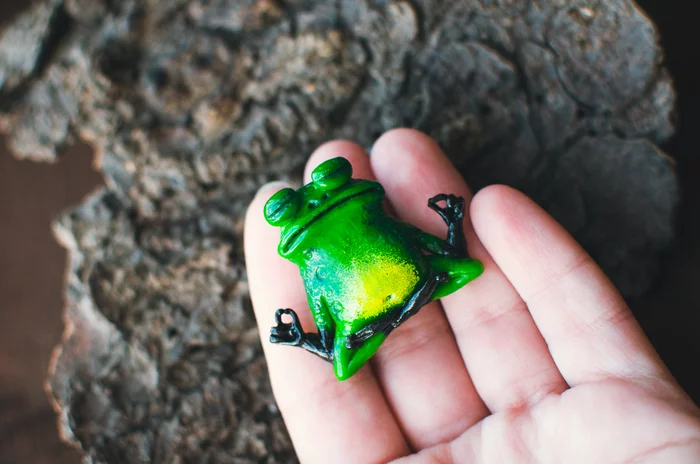 Brooches made of polymer clay - My, Handmade, Polymer clay, Brooch, Needlework without process, Longpost, Nika_kiss, cat, Frogs