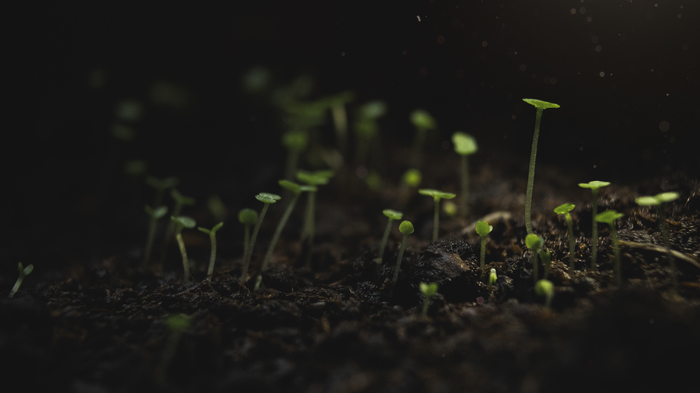 ���������� �������� ����